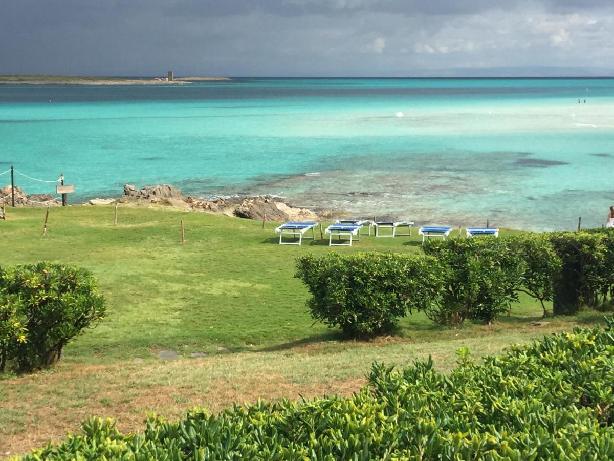 Viddalba Carrabean Sea In The North Of Sardegna, With Swimming Poolヴィラ エクステリア 写真
