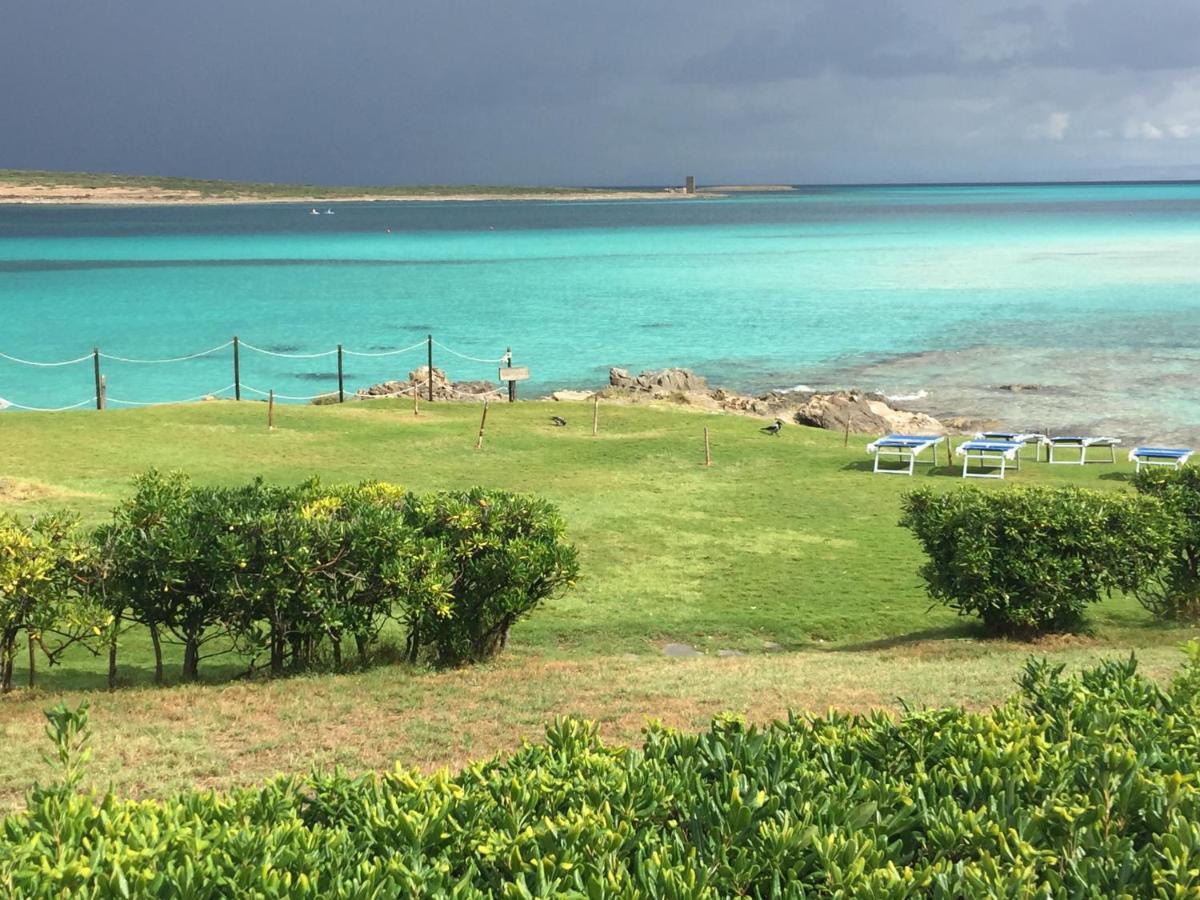 Viddalba Carrabean Sea In The North Of Sardegna, With Swimming Poolヴィラ エクステリア 写真