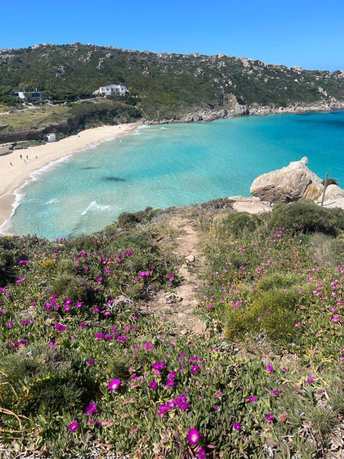 Viddalba Carrabean Sea In The North Of Sardegna, With Swimming Poolヴィラ エクステリア 写真